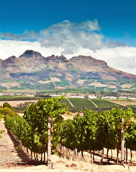 stellenbosch vs cape town